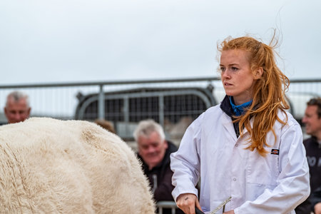 Ardara, County Donegal, Ireland - August 09 2025 : The cow section is busy during the Ardara Showのeditorial素材