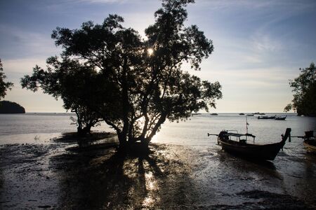 Boat on East Railay Bay Beach, Krabi Province, Thailand, Asia.の写真素材