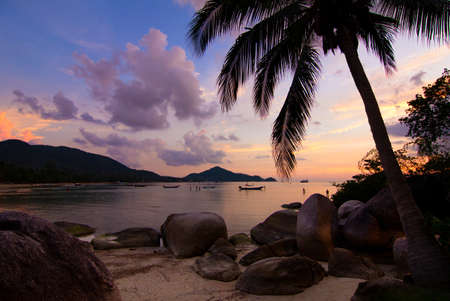 Sunset with palm and longtail boats on tropical beach. Ko Tao island, Thailandの写真素材