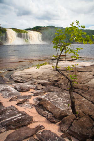 View of Salto Hacha on the lagoon in Canaima National Park - Venezuelaの写真素材