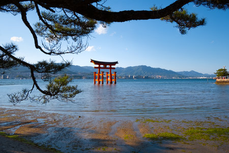 Floating Torii gate of Itsukushima Shrine at Miyajima, Hiroshimaの写真素材