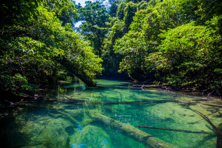 Crystal water in Melinau River, Mount Mulu, Sarawak, Borneo JANUAR 2019.の写真素材