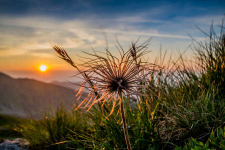 Summer view on Velka Fatra mountain, Slovakia.