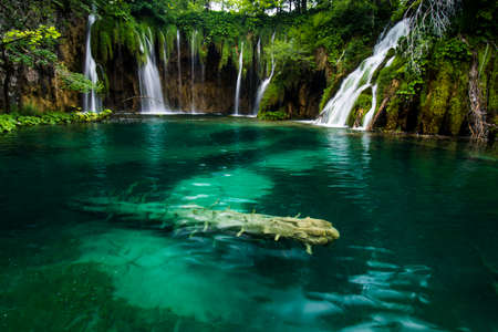 Plitvice National Park in Croatia, Europe.の写真素材