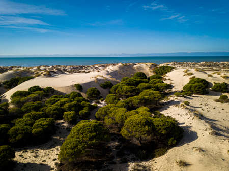 National Park of Donana, near Mazagon, Huelva, Andalusia, Spainの写真素材