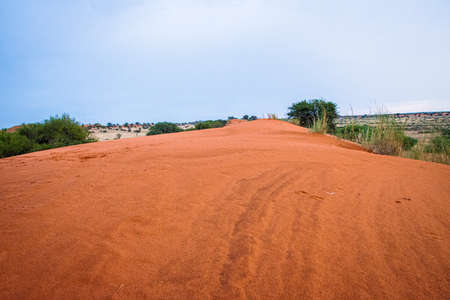 Beautiful landscape with vivid colors in Kalahari desert of Namibia.