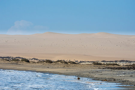 Atlantic Ocean coast near Luderitz in Namibiaの写真素材