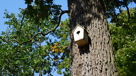 Birdhouse in the parkの写真素材
