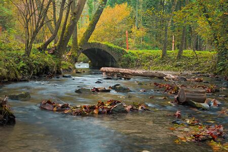 Mysterious, moss-covered bridge in the forest on the Angerbach River. Ratingen / NRW / Germanyの写真素材