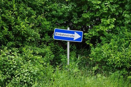 A one-way street sign hidden in high thickets.の写真素材