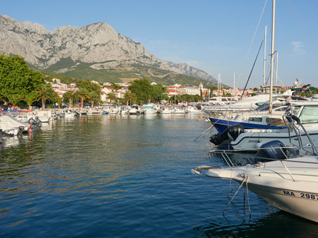 Baska Voda, Dalmatia, Croatia - July 22, 2021: Promenade with palm trees and a marina with moored boats.のeditorial素材