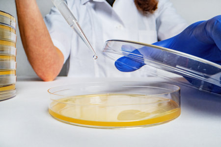 In the lab, the scientist doctor drips a sample into a beaker and a petri dishの写真素材