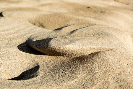 Sand dunes in the Sahara desertの写真素材