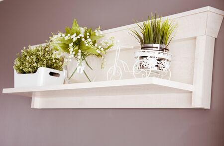 White shelf and green plantsの写真素材