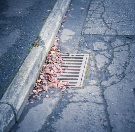 Fall leaves clogging a drain in the street