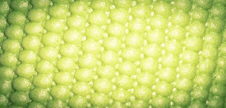 Background texture, decorative ornament, green silk fabric, woven threads on the fabric, fluffy effect, feeling, appearance or texture of the surfaceの写真素材