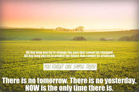 Now is the only time there is phrase on a background with Yellow pink sunset sky over farm in Central Scotland - warm green grass and trees silhouetteの写真素材