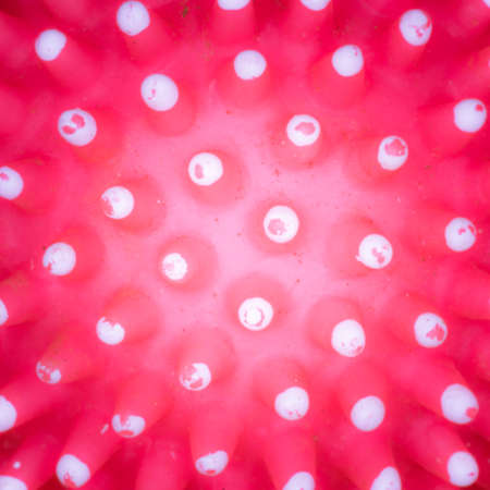 Spiky ball background - pet toysの写真素材