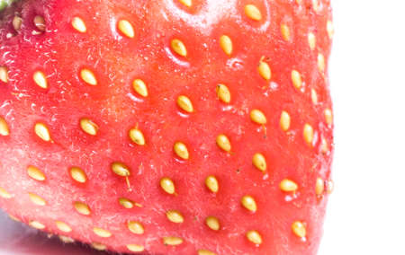 Strawberry close up - macro photography of fresh berriesの写真素材