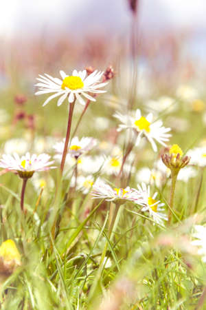 Beautiful plants show their aesthetic qualities.