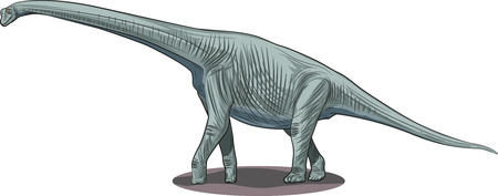 Vector drawing of a dinosaur - Pleurocoelus.のイラスト素材