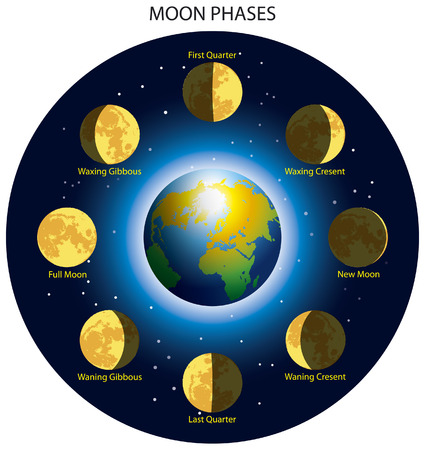 Basic phases of the moon.のイラスト素材