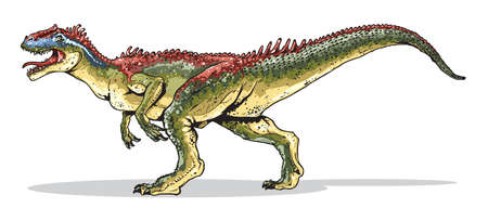 Cartoon style illustration shows Allosaurus - mesozoic reptail.のイラスト素材