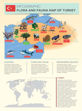 Vector illustration of geo-biology flora and fauna infographic of Turkey.のイラスト素材