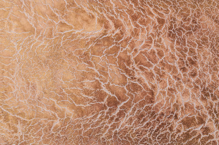 beautiful decorative plaster brown patternの写真素材