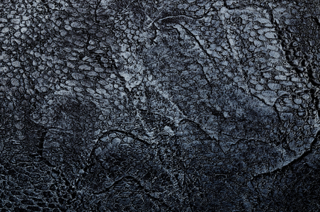 beautiful texture decorative Venetian stucco for backgroundsの写真素材