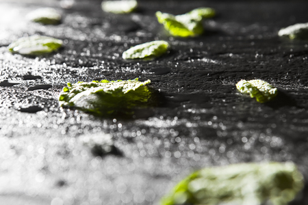 Mint leaves on stone table. Top view with copy spaceの写真素材