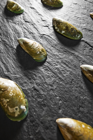 Calm shells background on the stone table. Free space for text . Top view