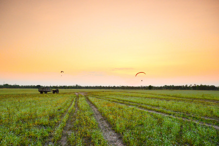 Meadows at the end of the reservoirs with light before sunset.の写真素材
