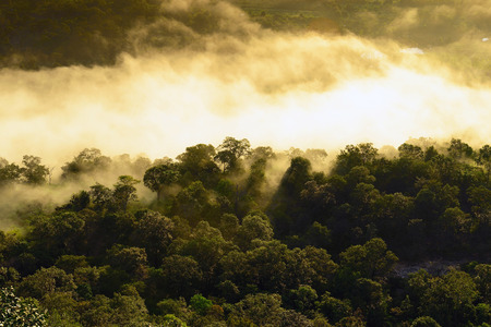 Thailand sunrise First-cliff point Pha Taem Ubon Ratchathani.Sunrise in Pha Taem National Park Ubon...