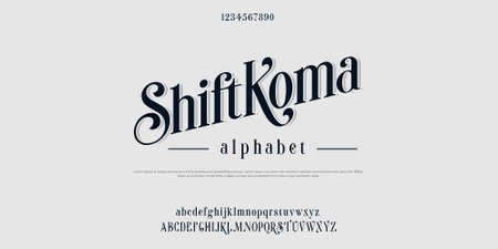 Custom alphabet font bundle script serif.のイラスト素材