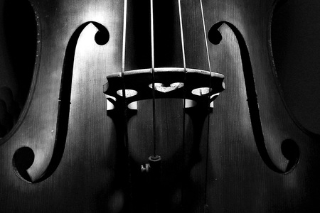 Double bass in blackの写真素材