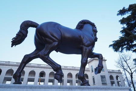 Leonardo da Vinci Horse statue in Milan, Italyの写真素材
