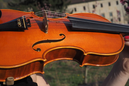Violin close up in springtimeの写真素材