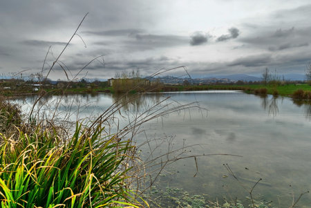Landscape with a lake and a cloudy sky in the background.の写真素材