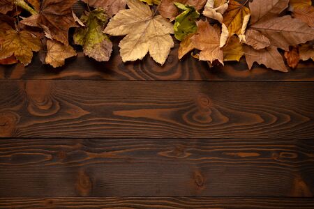 Top view of autumn leaves over wooden background with copy spaceの写真素材