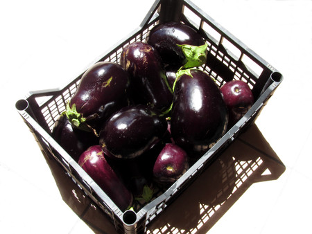 Eggplants in box on white backgroundの写真素材