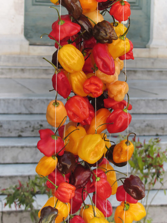 Assortment of colorful chilli peppers hanging outdoorの写真素材