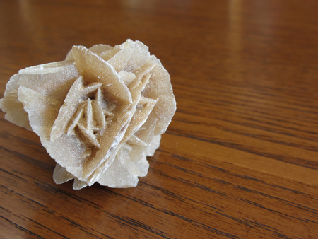 Mineral desert rose on wooden table . Also known as sand rose or rose rock or selenite rose or gypsum rose or baryte roseの写真素材