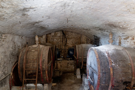 Old private wine cellar with barrels and equipment for wine production . Tuscany, Italy