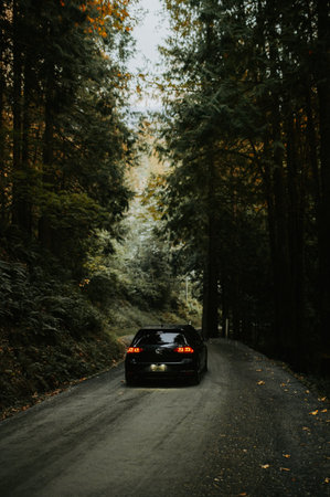 car on the road in the forest, beautiful photo digital picture with grainの写真素材