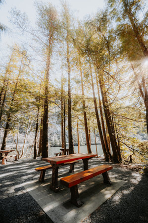 Wooden table and chairs in the forest. Sunlight shines through the trees.の写真素材