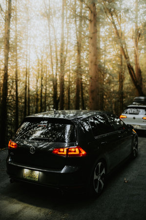 Black car on the road in the forest at sunset. Rear view.のeditorial素材