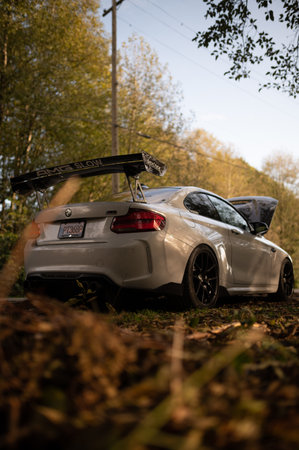 Rear view of grey sports car parked in the forestのeditorial素材