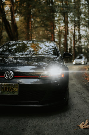 Back view of black sport car on asphalt road in the forest.
