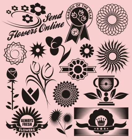 	Floral collection of decorative vectorsのイラスト素材